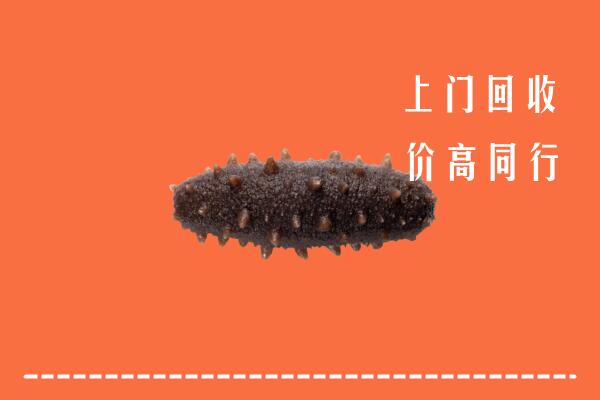 高价求购：泗阳县回收海参
