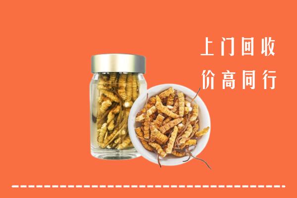 泗阳县回收冬虫夏草